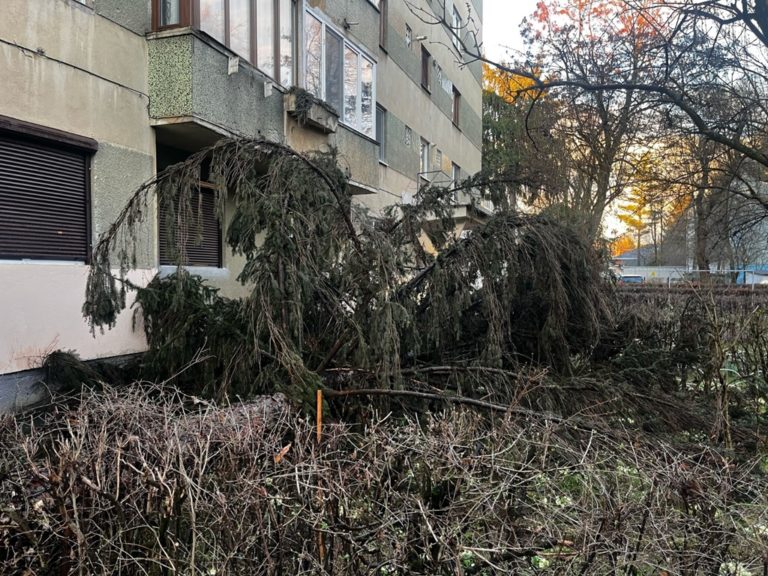 pagubele furtunii din județul Maramureș