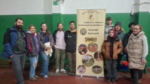 O nouă campanie de sterilizare a animalelor la Sighet