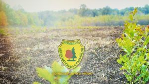Grevă de avertisment la Direcţia Silvică Sălaj