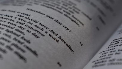 Colecții Shakespeare scoase la licitaţie