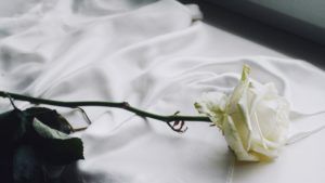Misterul trandafirului alb de pe mormântul Papei Francisc