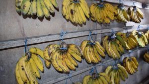 Cele mai sănătoase banane sunt cele cu pete maronii