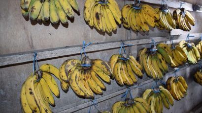 Cele mai sănătoase banane sunt cele cu pete maronii