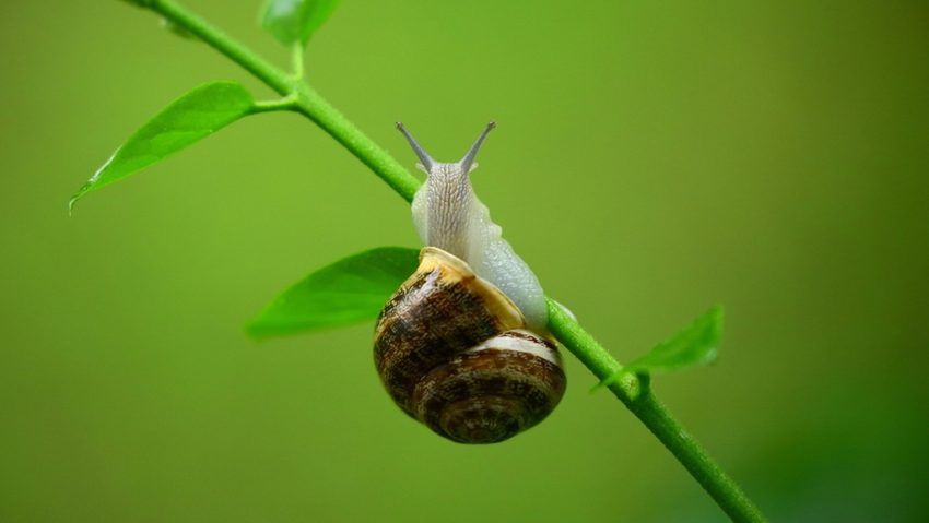 O descoperire uimitoare! O descoperire uimitoare!