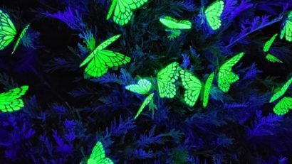 „Butterfly Effect” – Arta și solidaritatea se întâlnesc la Noaptea Muzeelor