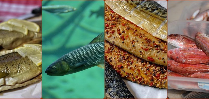 Pești recomandați pentru o dietă sănătoasă Pești recomandați pentru o dietă sănătoasă