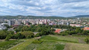 Picnic, plante și povești horticole la USAMV Cluj | AUDIO