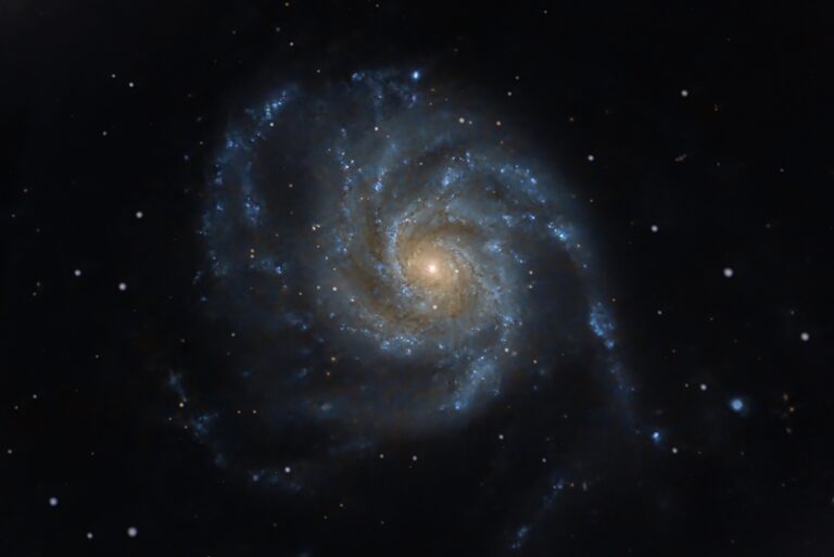 M101 landscape