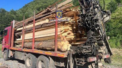 Percheziții într-un dosar privind infracțiuni silvice