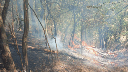 11 incendii de vegetație uscată produse în weekend