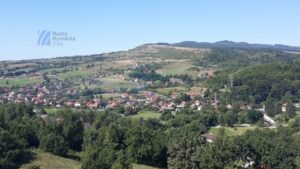 Urșii vor avea un parc tematic în stațiunea Sovata