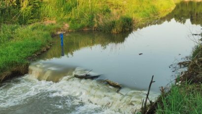 Pe lângă peşti au început să moară şi castori