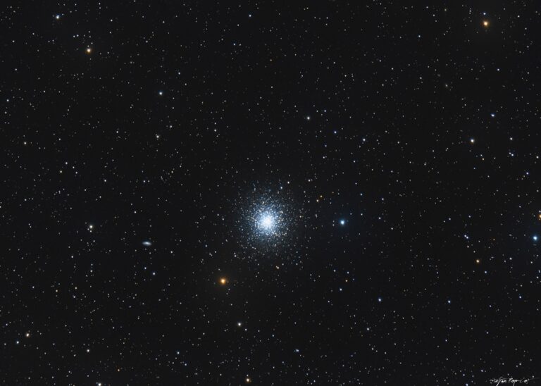 Roi-M13