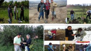 Transilvania pierde teren în faţa schimbărilor climatice