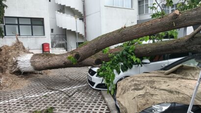 Dezastru după furtună in Bihor | FOTO