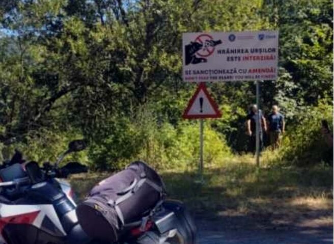 Fotografia mortală: ce ne învață tragedia motociclistului de pe Transfăgărășan Fotografia mortală: ce ne învață tragedia motociclistului de pe Transfăgărășan
