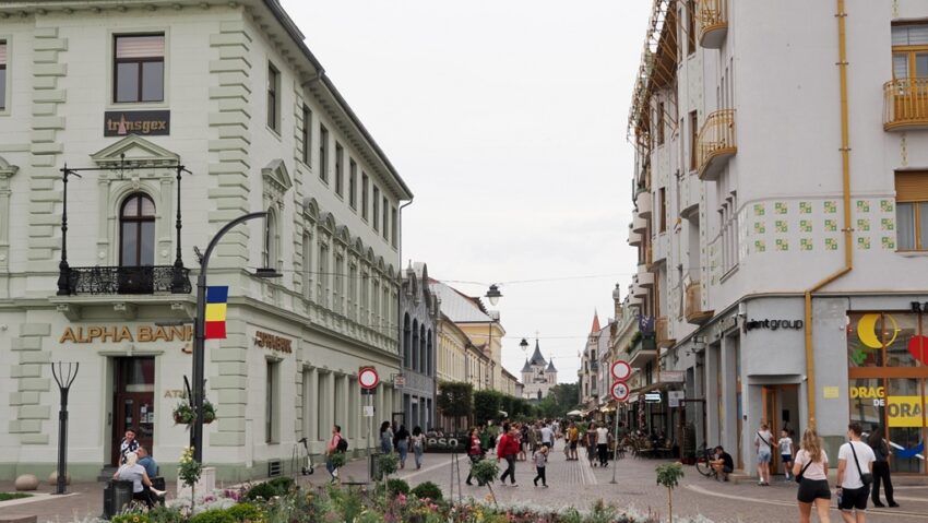 Peste 950 de locuri de muncă vacante în Bihor Peste 950 de locuri de muncă vacante în Bihor