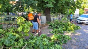 Parcul dendrologic din Carei, închis după furtună