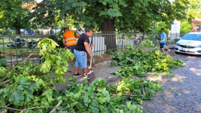 Parcul dendrologic din Carei, închis după furtună
