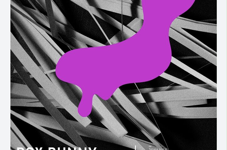 ”Box Bunny” la Reactor