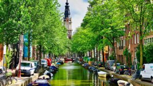 Cum pot fi salvate animalele care cad în canalele Amsterdamului?