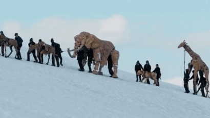 Animalele de lemn fug de schimbările climatice
