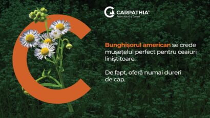 E din natură, dar e inamic. Îl (re)cunoști?