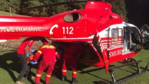 Un bărbat de 50 de ani a murit lovit de un copac în pădure