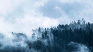 UE: aproape 900.000 hectare de pădure mistuite de flăcări