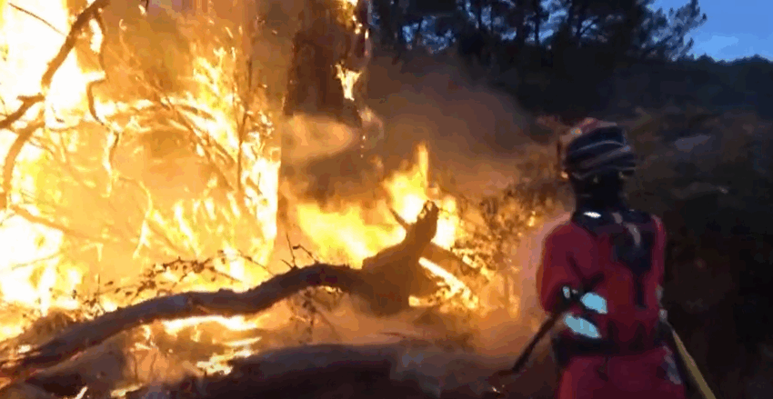 Incendiile fac ravagii în Spania