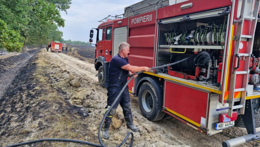 55 de hectare de vegetație afectate de incendiu