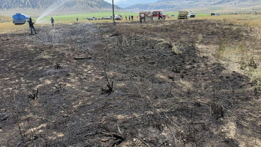 Scăpat din ghearele vulturului a făcut scântei și…incendiu! Scăpat din ghearele vulturului a făcut scântei și…incendiu!