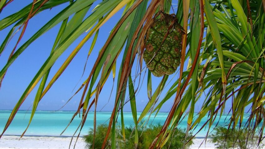 Zeci de oameni păcăliți cu vacanțe în Zanzibar