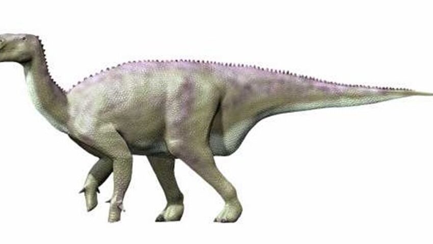 O nouă specie de dinozaur, descoperită pe o plajă