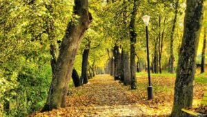 Parcul Municipal Aiud, parțial închis