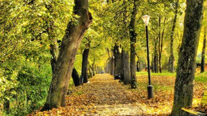 Parcul Municipal Aiud, parțial închis
