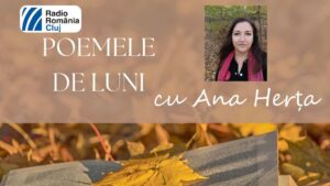 Poemele de luni: Daniel Săuca
