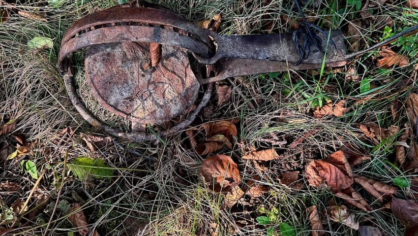 Percheziții domiciliare pentru braconaj și nerespectarea armelor și munițiilor