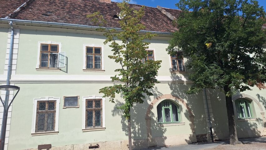 Academicianul de pe strada Kogălniceanu Academicianul de pe strada Kogălniceanu