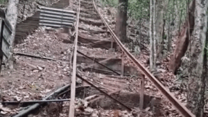 7 călugări budiști și-au pierdut viața într-un tragic accident
