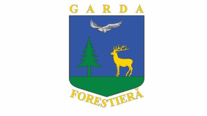 Senatul aprobă reorganizarea Gărzii Forestiere