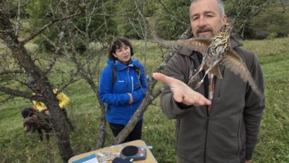 Lecţia de natură: o inelare de păsări pe pajiştile de la Liteni-Săvădisla | AUDIO