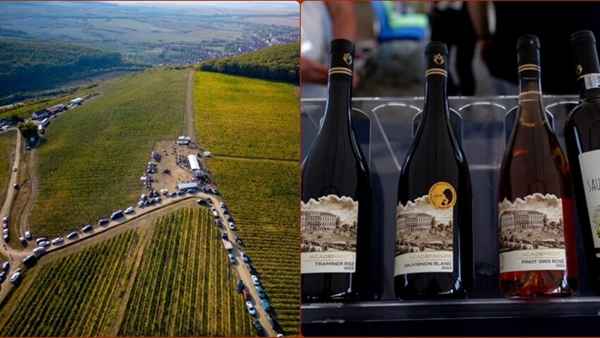 Vinea Apoldia Maior Fest revine cu a patra ediție