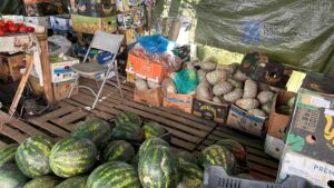 Cine-a pus aprozaru’-n drum? Cine-a pus aprozaru’-n drum?