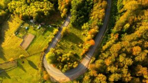 Județul Bihor iese în lume! Județul Bihor iese în lume!