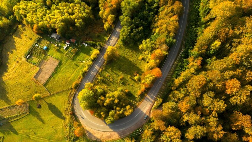 Județul Bihor iese în lume! Județul Bihor iese în lume!