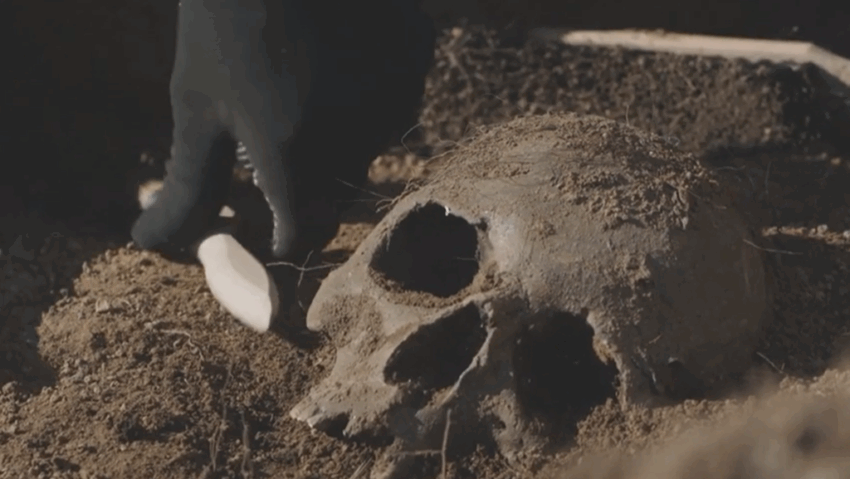 Originea omului, mai veche decât se credea Originea omului, mai veche decât se credea