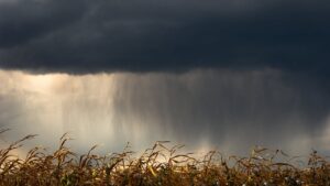 Vreme extremă: un ciclon lovește sud-estul României!