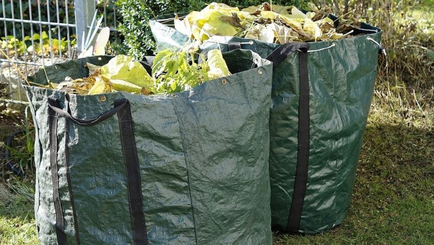 Campanie gratuită de colectare a deșeurilor vegetale