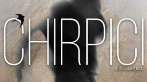 Finalul de an vine cu o premieră la Teatrul din Turda